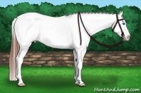 Horse Color:Bay Roan Dun Splash Blanket 