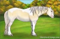 Horse Color:Silver Amber Champagne Onyx Tobiano 