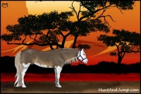 Horse Color:Chocolate Palomino Splash 