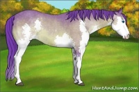 Horse Color:Watercolor Buckskin Sabino Splash 