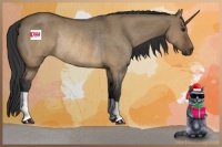 Horse Color:Brown Dun Rabicano 