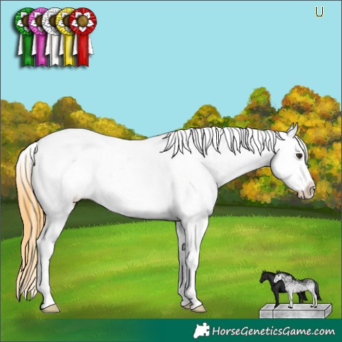 Horse Color:White Spotted Buckskin Dun Appaloosa 