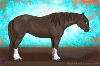 Horse Color:Liver Chestnut 