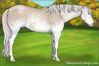 Horse Color:White Spotted Silver Smoky Blue Roan Pearl