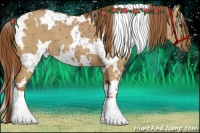 Horse Color:White Spotted Red Dun