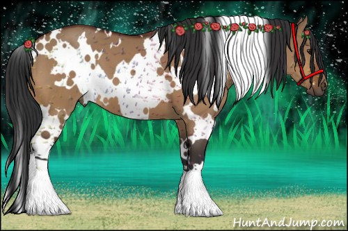 Horse Color:White Spotted Bay Dun