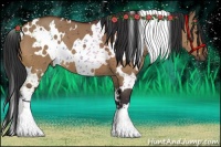 Horse Color:White Spotted Bay Dun