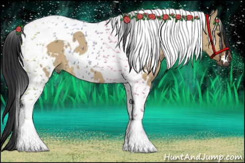 Horse Color:White Spotted Bay Dun Tobiano