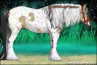 Horse Color:White Spotted Bay Dun Tobiano 
