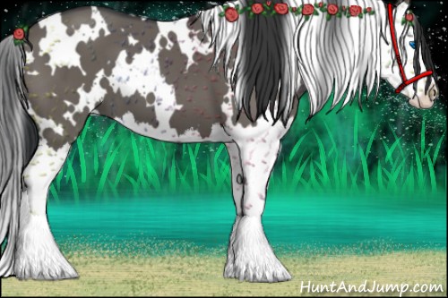 Horse Color:White Spotted Grullo Splash