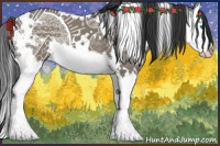 Horse Color:White Spotted Grullo Splash 