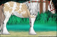 Horse Color:White Spotted Red Dun Splash 