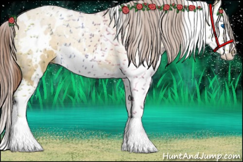 Horse Color:White Spotted Red Dun Splash 