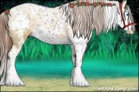 Horse Color:White Spotted Red Dun Splash 