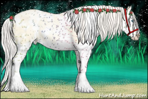 Horse Color:White Spotted Gold Cream Champagne Pearl Dun Splash 