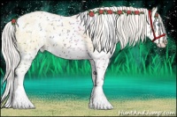 Horse Color:White Spotted Gold Cream Champagne Pearl Dun Splash 