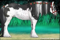 Horse Color:White Spotted Black Splash Frame 