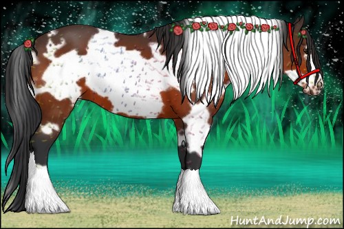 Horse Color:White Spotted Brown Frame 