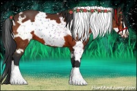 Horse Color:White Spotted Brown Frame 