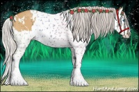 Horse Color:White Spotted Silver Bay Dun Splash 