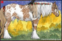 Horse Color:White Spotted Chestnut 