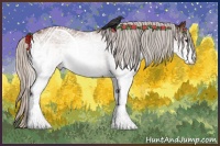 Horse Color:White Spotted Silver Bay 