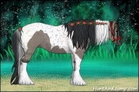 Horse Color:Grullo Roan Tobiano