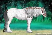 Horse Color:White Spotted Black