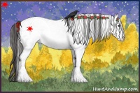 Horse Color:White Spotted Bay Varnish 