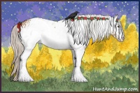 Horse Color:White Spotted Silver Bay Dun Varnish