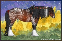 Horse Color:White Spotted Bay Varnish Rabicano 