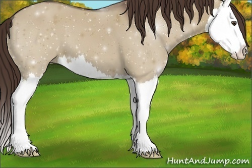 Horse Color:ERROR: UNKNOWN ANOMALY