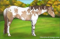 Horse Color:White Spotted Brown Pearl 