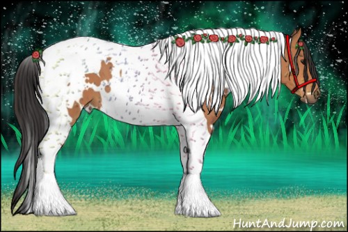 Horse Color:White Spotted Bay Tobiano 