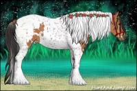 Horse Color:White Spotted Bay Tobiano