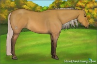Horse Color:Silver Bay Roan Dun 