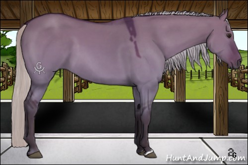 Horse Color:Silver Bay Dun