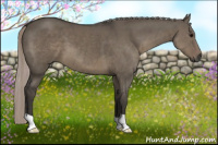 Horse Color:Gray Silver Grullo 