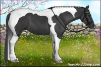 Horse Color:Black Tobiano