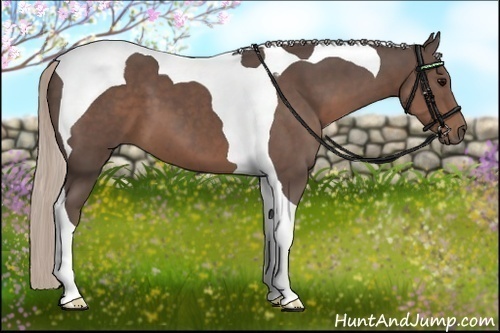 Horse Color:Silver Black Tobiano 