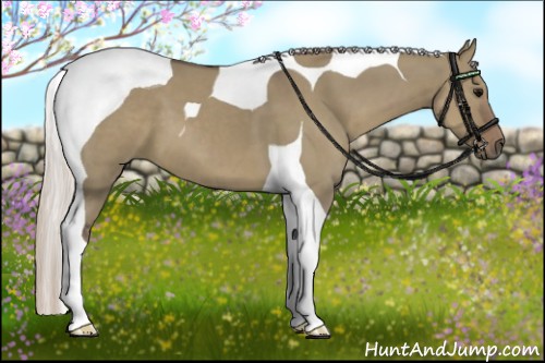 Horse Color:Silver Grullo Tobiano