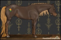Horse Color:Liver Chestnut 