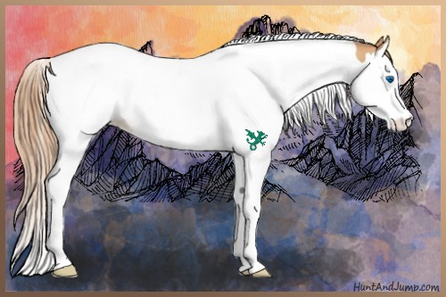 Horse Color:Gold Champagne Splash Tobiano 