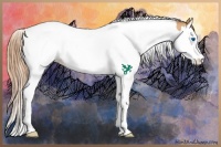 Horse Color:Gold Champagne Splash Tobiano