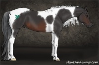 Horse Color:Brown Tobiano