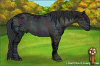 Horse Color:Midnight Black Ice