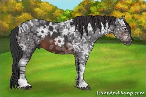 Horse Color:Brown Ice 