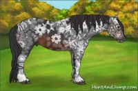 Horse Color:Brown Ice 