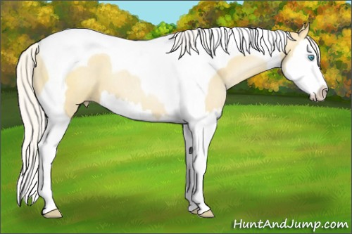 Horse Color:Silver Smoky Black Pearl Splash Tobiano 