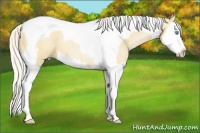 Horse Color:Silver Smoky Black Pearl Splash Tobiano